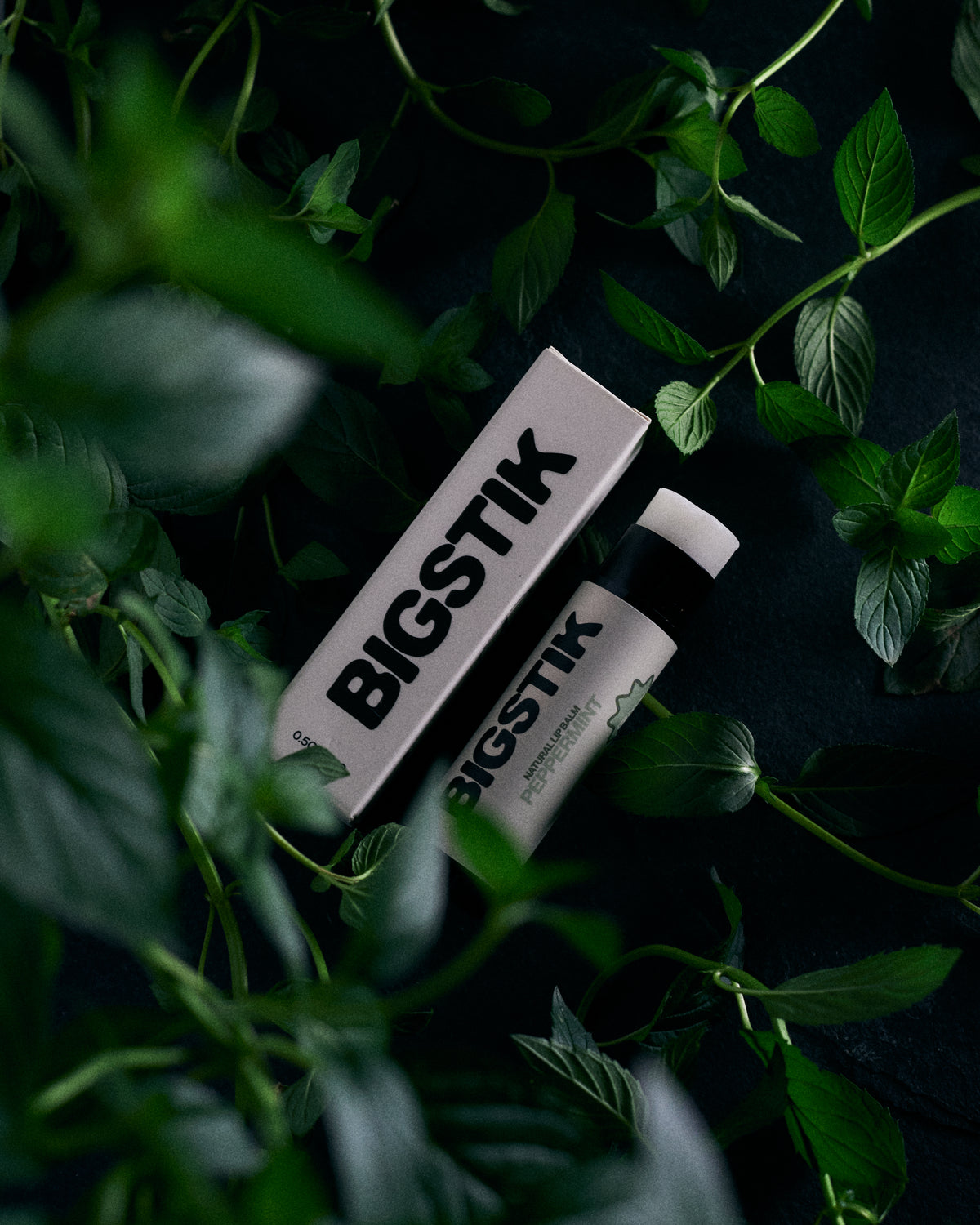 Bigstik Oversized Lip Balm
